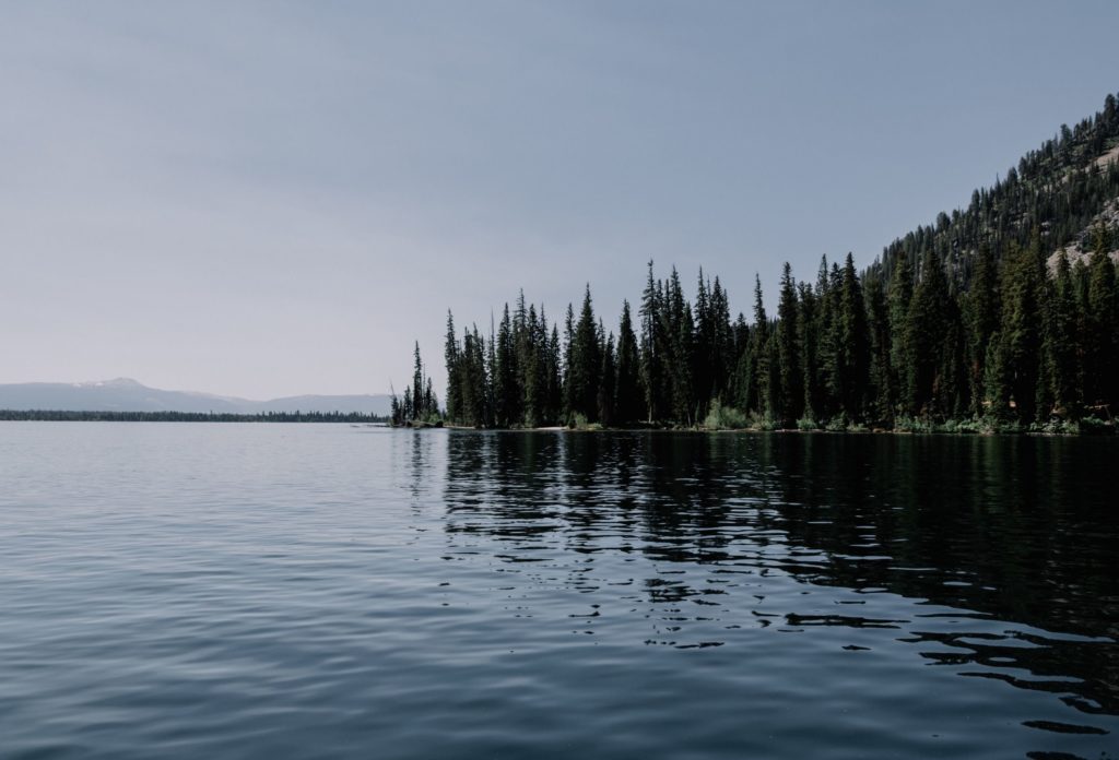 GOING DEEPER: Acts 8 (10-Minute Bible Study)